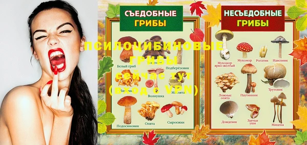 дурь Алексеевка
