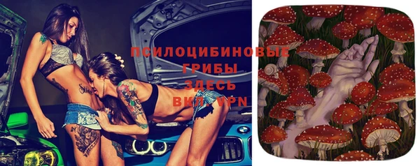 дурь Алексеевка