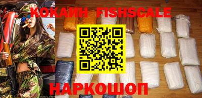 индика Бийск