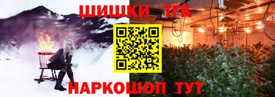 индика Бийск