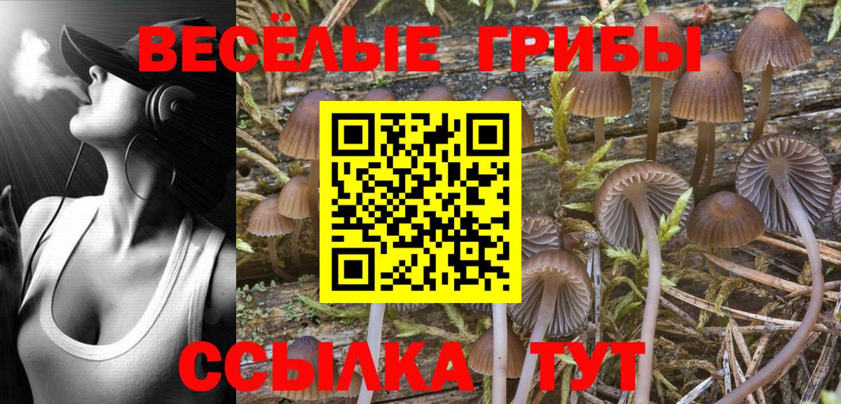 Псилоцибиновые грибы Psilocybe  Вход с VPN  Добрянка 