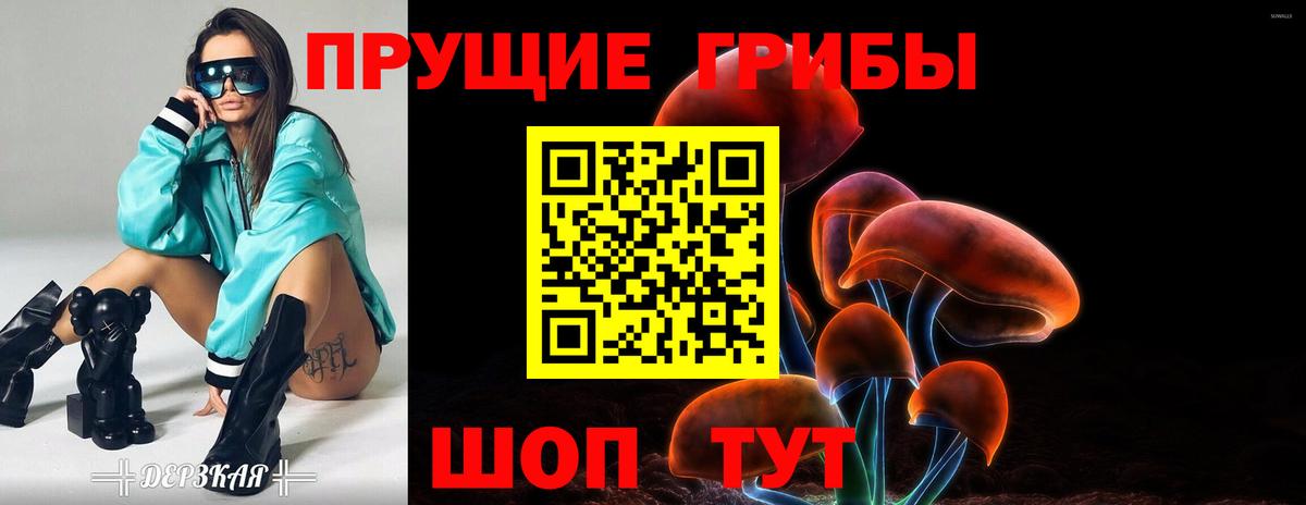 Псилоцибиновые грибы мицелий Добрянка
